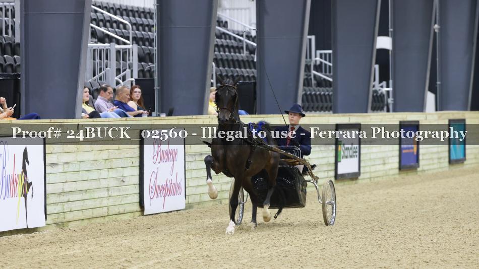 Proof Number 24BUCK_02560