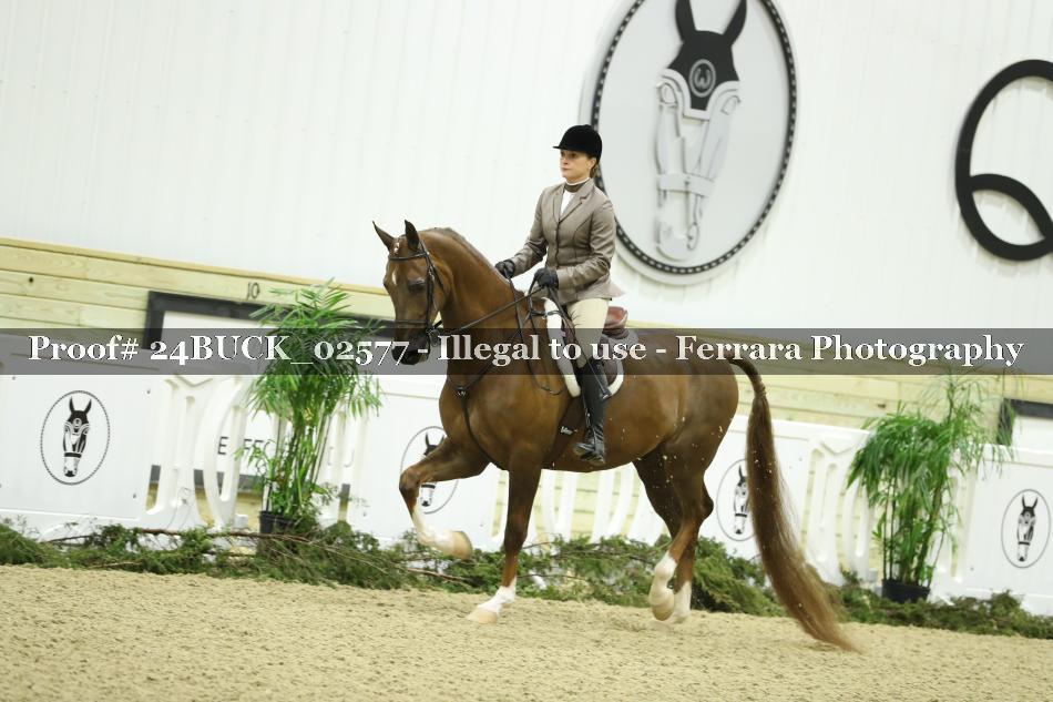 Proof Number 24BUCK_02577