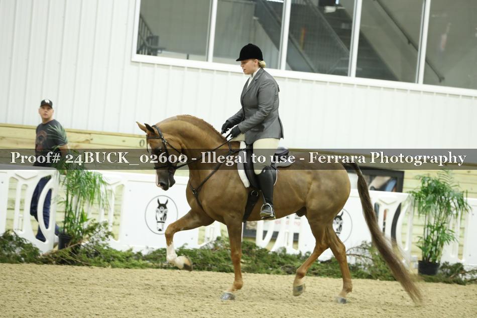 Proof Number 24BUCK_02600