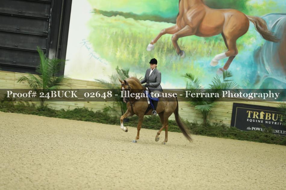 Proof Number 24BUCK_02648