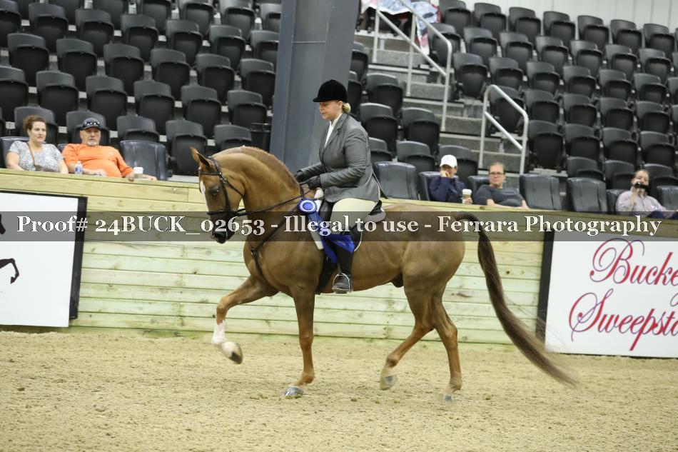 Proof Number 24BUCK_02653