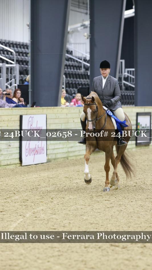 Proof Number 24BUCK_02658