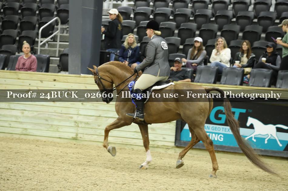 Proof Number 24BUCK_02660