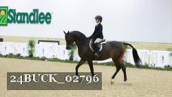 24BUCK_02796 thumbnail