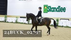 24BUCK_02797 thumbnail