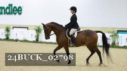 24BUCK_02798 thumbnail