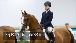 24BUCK_02801 thumbnail