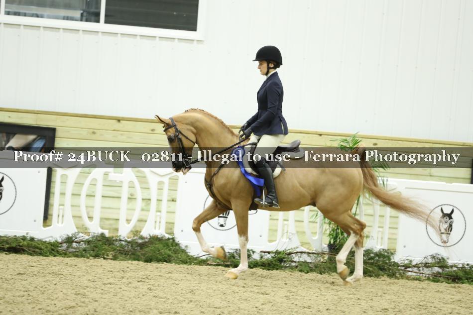 Proof Number 24BUCK_02811