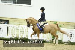 24BUCK_02811 thumbnail