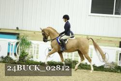 24BUCK_02812 thumbnail
