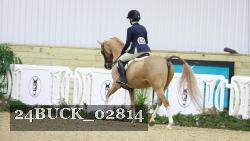 24BUCK_02814 thumbnail