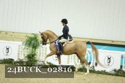 24BUCK_02816 thumbnail