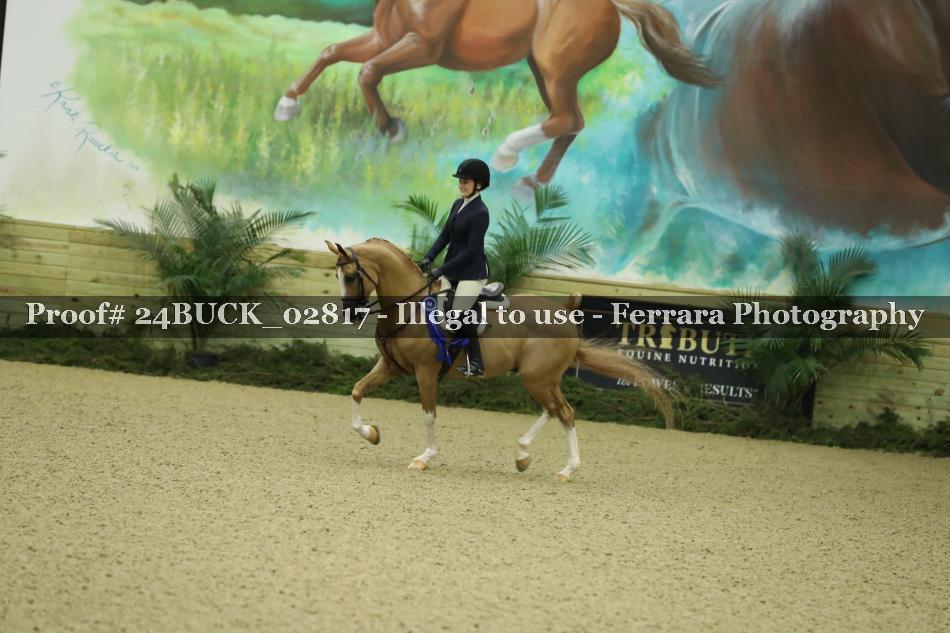 Proof Number 24BUCK_02817