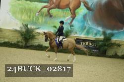 24BUCK_02817 thumbnail