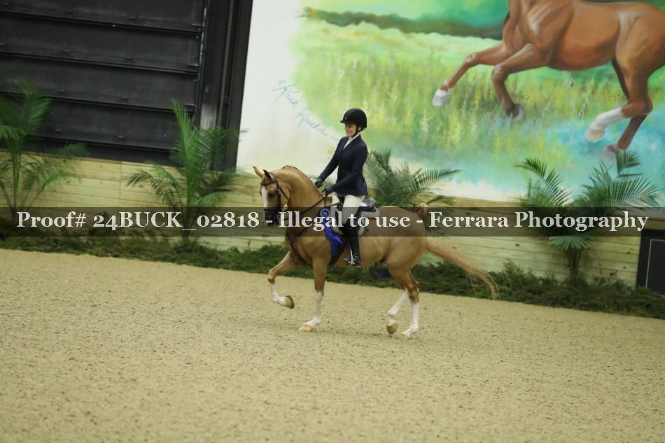 Proof Number 24BUCK_02818