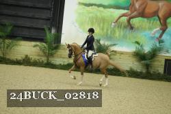 24BUCK_02818 thumbnail