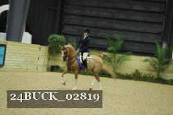 24BUCK_02819 thumbnail