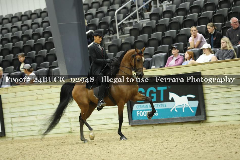 Proof Number 24BUCK_02948