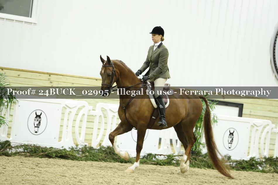 Proof Number 24BUCK_02995