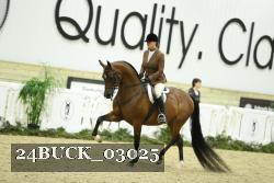 24BUCK_03025 thumbnail
