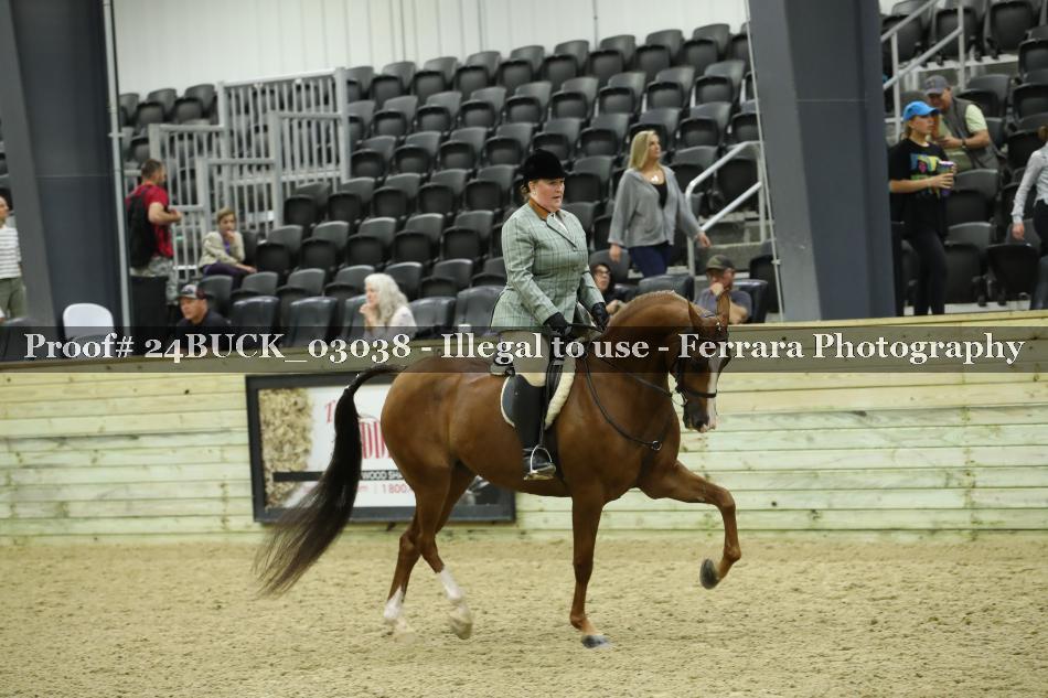 Proof Number 24BUCK_03038