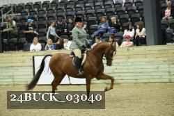 24BUCK_03040 thumbnail
