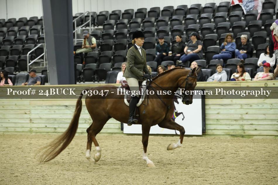 Proof Number 24BUCK_03047