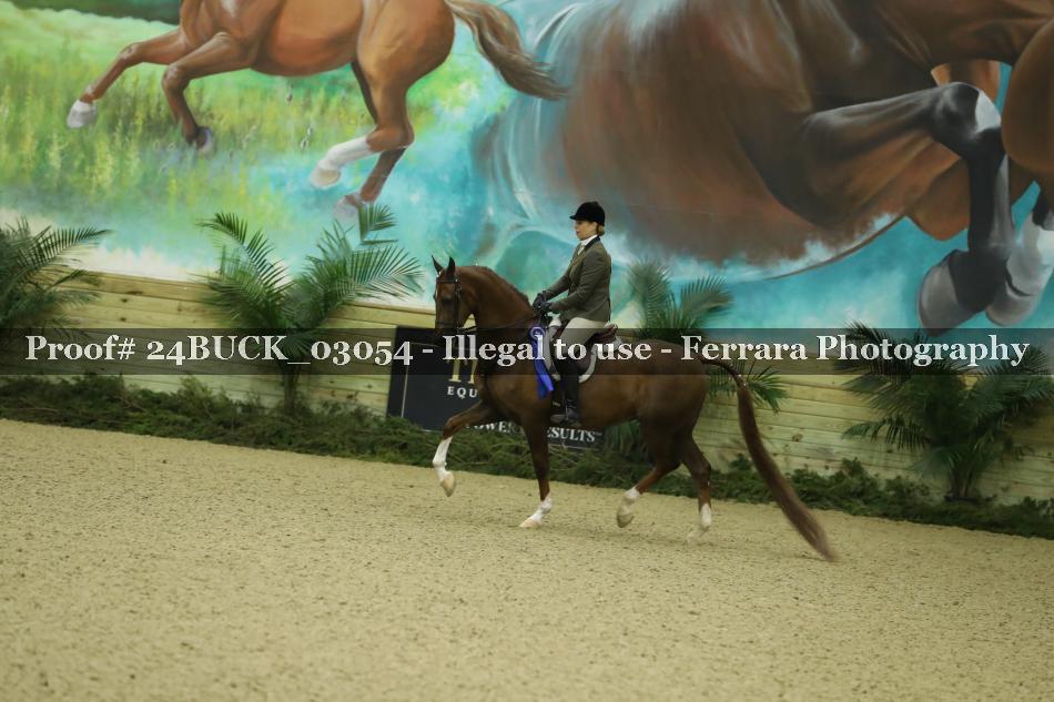 Proof Number 24BUCK_03054
