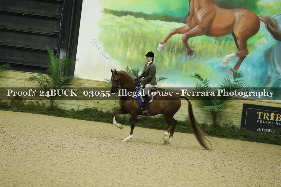Proof Number 24BUCK_03055