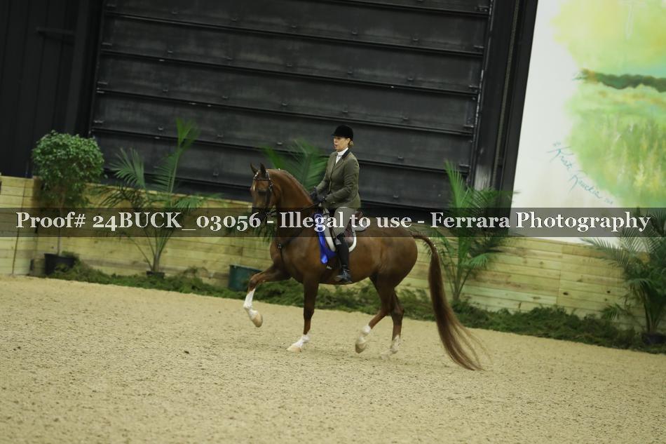 Proof Number 24BUCK_03056