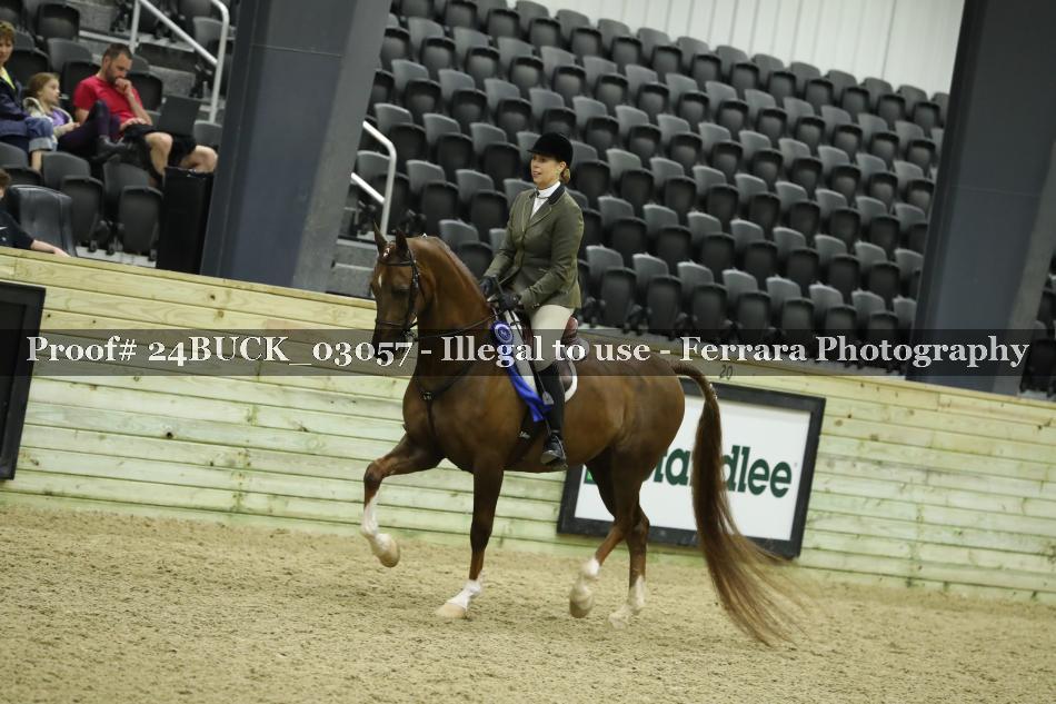 Proof Number 24BUCK_03057