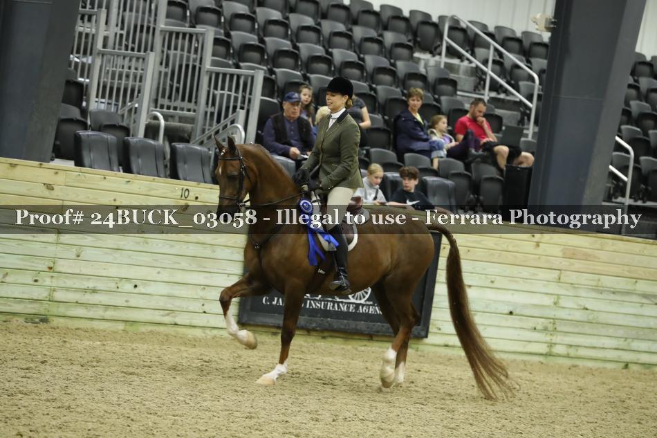 Proof Number 24BUCK_03058