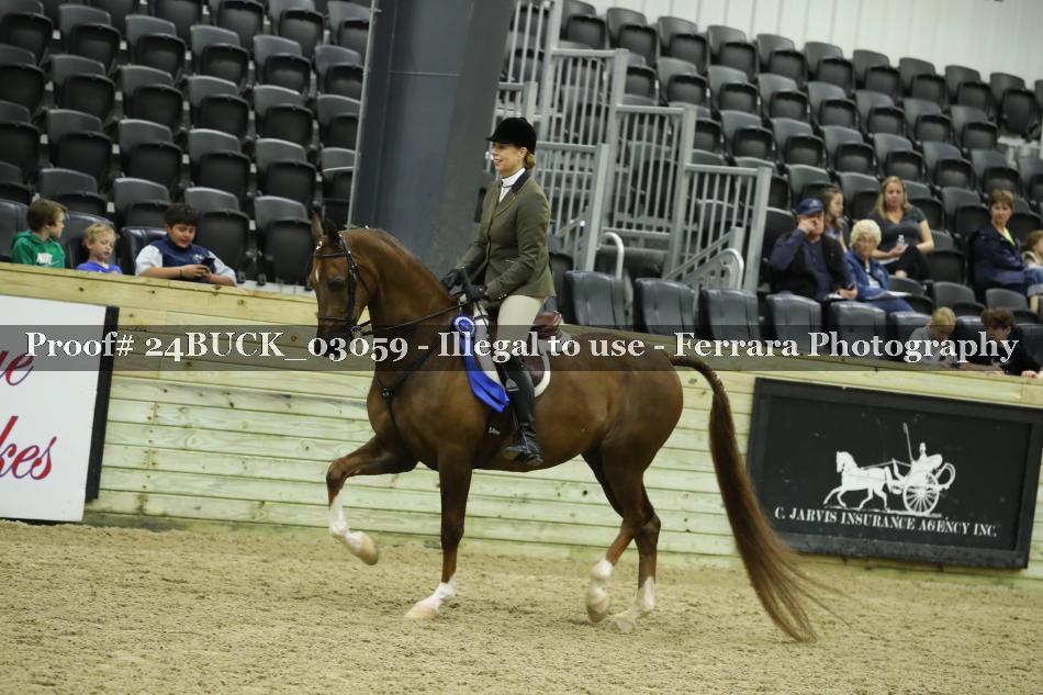 Proof Number 24BUCK_03059