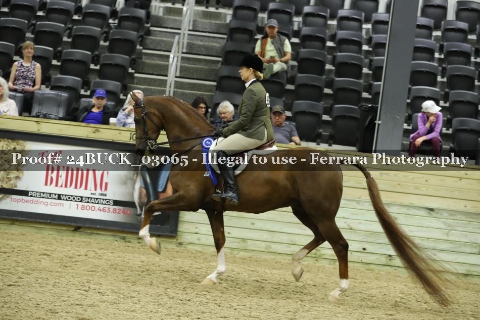 Proof Number 24BUCK_03065
