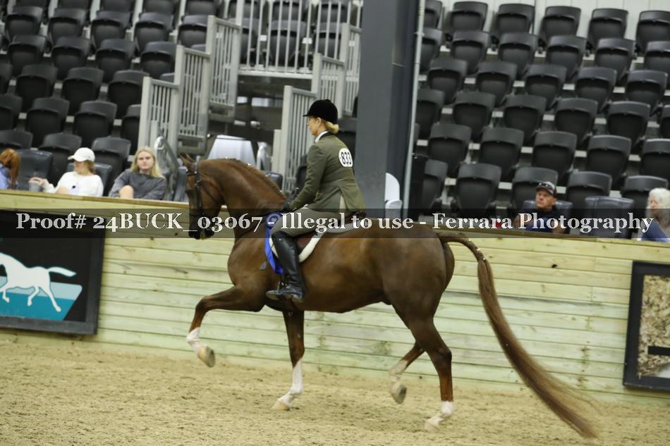 Proof Number 24BUCK_03067