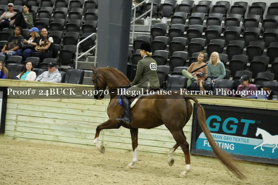 Proof Number 24BUCK_03070