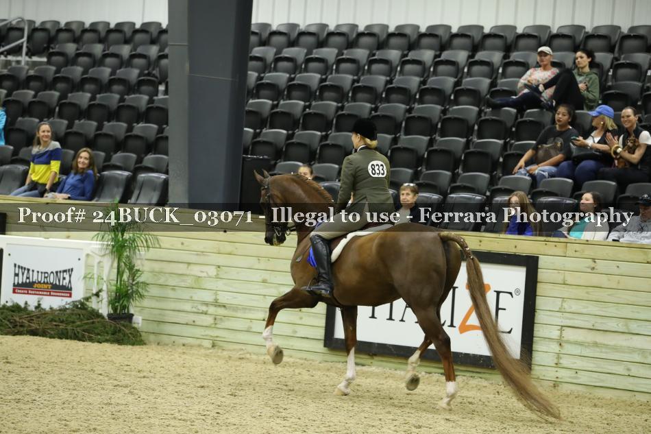 Proof Number 24BUCK_03071