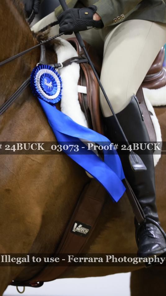 Proof Number 24BUCK_03073