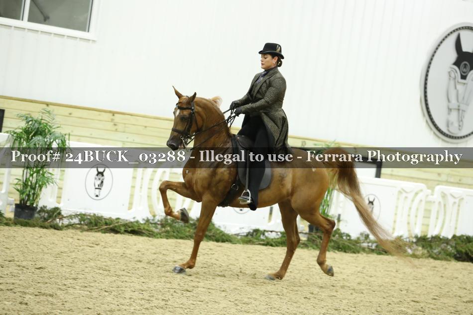Proof Number 24BUCK_03288