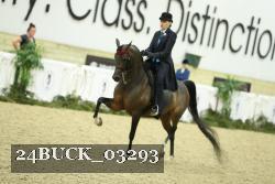 24BUCK_03293 thumbnail