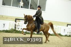 24BUCK_03303 thumbnail
