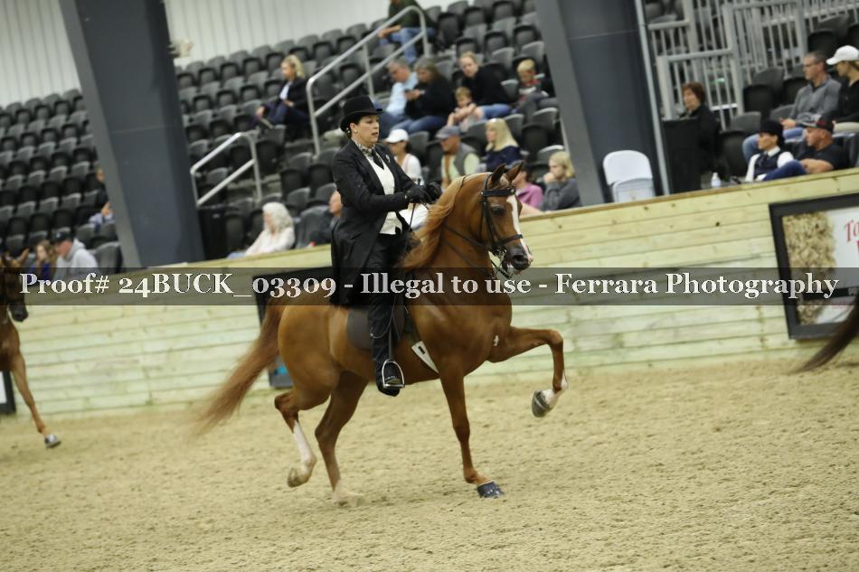 Proof Number 24BUCK_03309