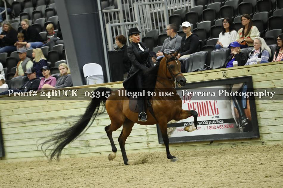 Proof Number 24BUCK_03315