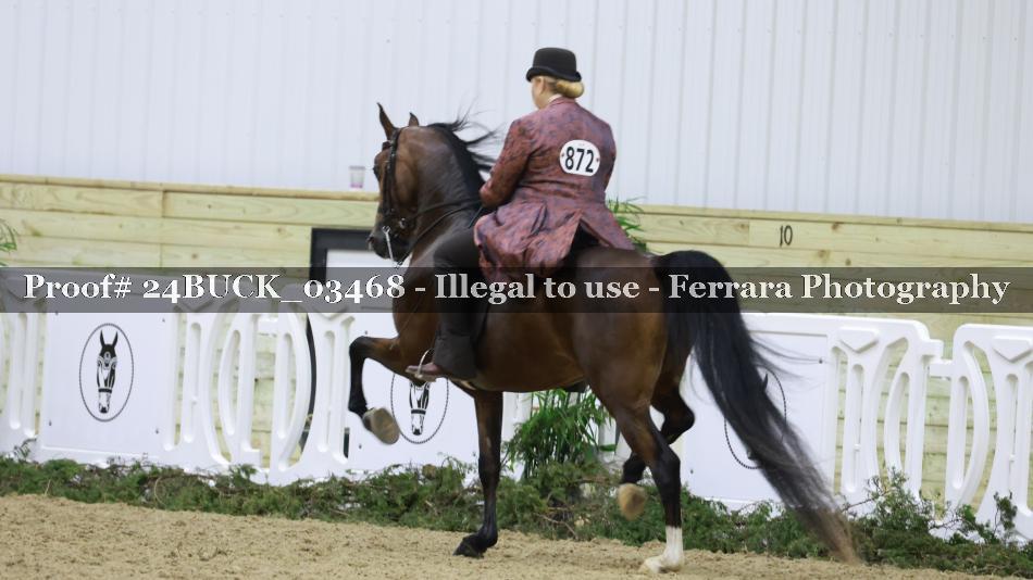 Proof Number 24BUCK_03468