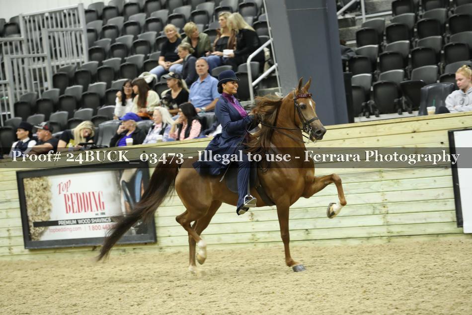 Proof Number 24BUCK_03473
