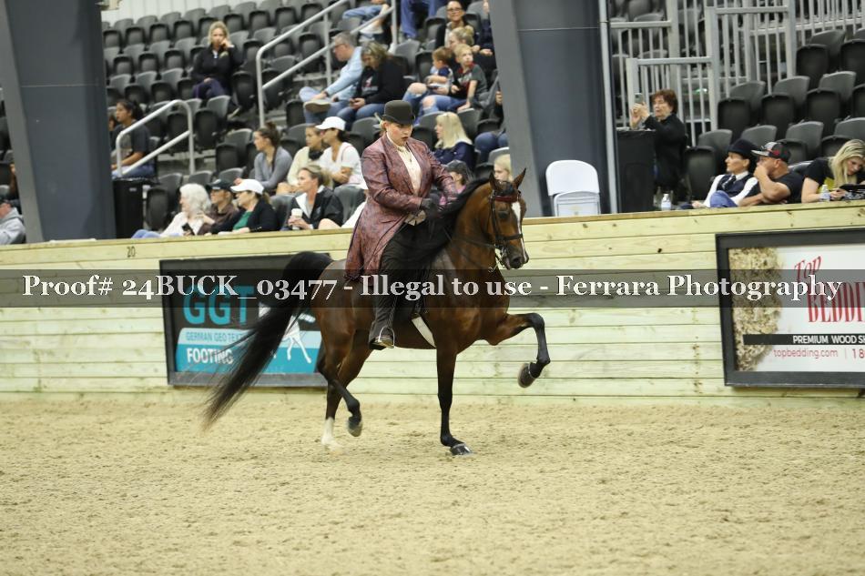Proof Number 24BUCK_03477