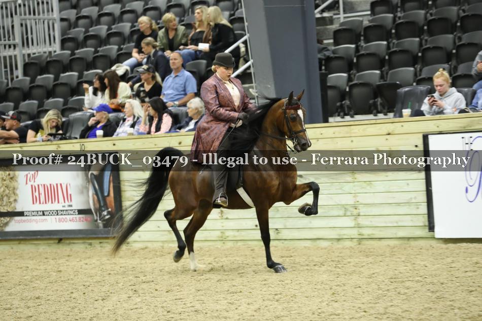 Proof Number 24BUCK_03479