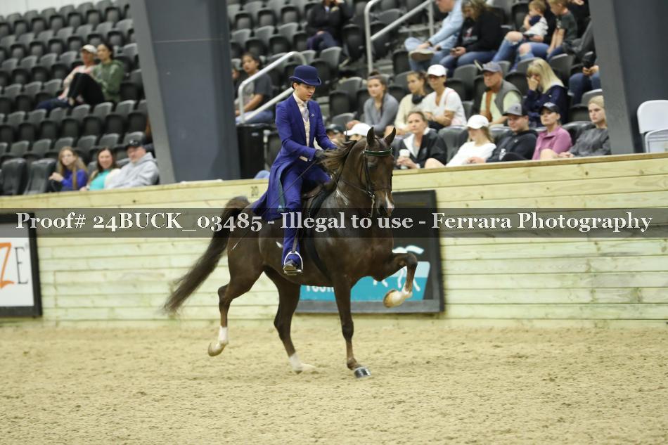 Proof Number 24BUCK_03485