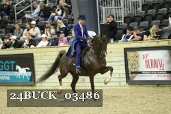 24BUCK_03486 thumbnail