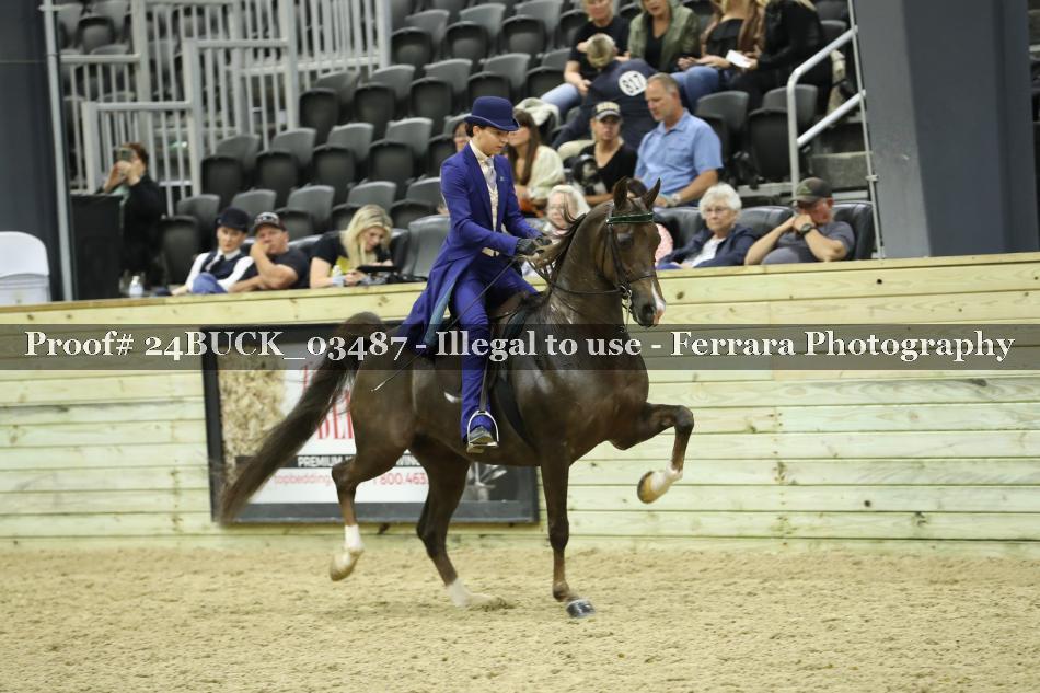 Proof Number 24BUCK_03487